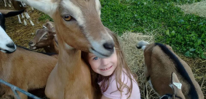  Fun For the Whole Family: Open Farm Week 2019