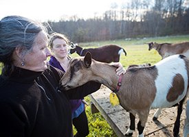 Farm Visits