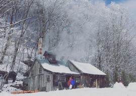 Trillium Hill Farm