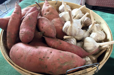 Brattleboro Farmers Market - Winter