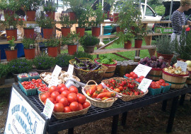 Brattleboro Area Farmers Market