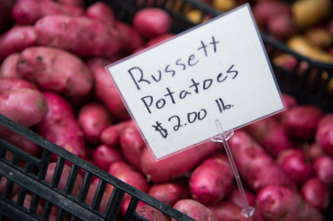 Dorset Farmers Market - Winter