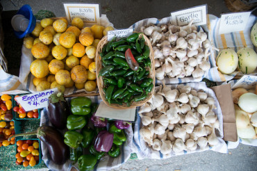 Middlebury Farmers Market - Winter 