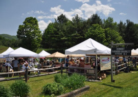 Dorset Farmers Market