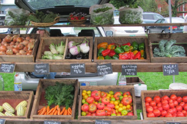 Jericho Farmers Market