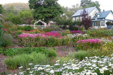 Labour of Love Landscaping & Nursery