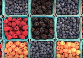 Sweet Roots Farm
