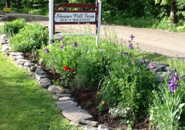 Shearer Hill Farm Bed and Breakfast