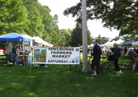 Shelburne Farmers Market