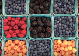 Charlotte Berry Farm
