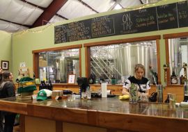 Fiddlehead Brewing Company