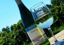 Shelburne Vineyard