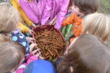 Cedar Circle Farm & Education Center