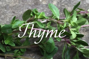 Thyme