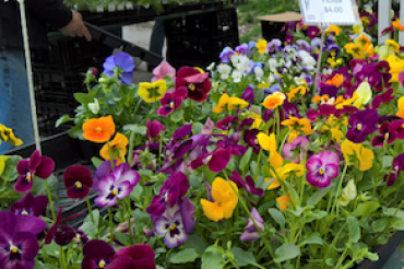 Capital City Farmers Market - Winter