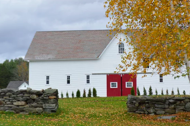 Brook Farm Vineyards