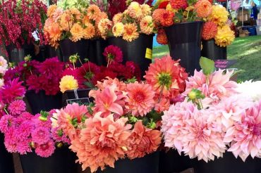 Burlington Farmers Market - Winter