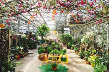 Garden of Eatin' Cafe