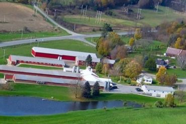 Maple Meadow Farm