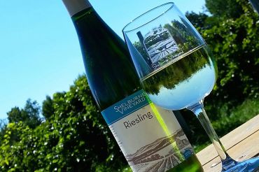 Shelburne Vineyard