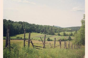 Willow Brook Farm