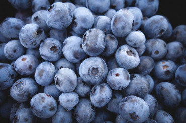 Vermont Farmers Market