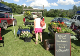 Hartland Farmers Market