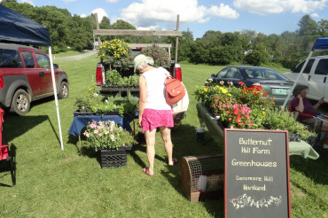 Hartland Farmers Market