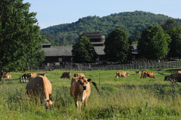 Billings Farm & Museum