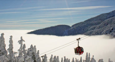 Explore Stowe